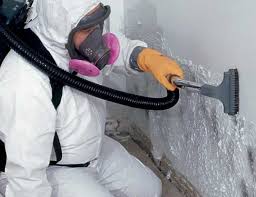 Mold Documentation for Insurance Claims in Seneca, MO